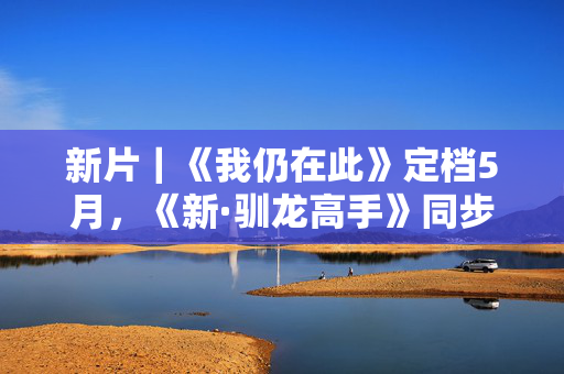 新片｜《我仍在此》定档5月，《新·驯龙高手》同步北美上映