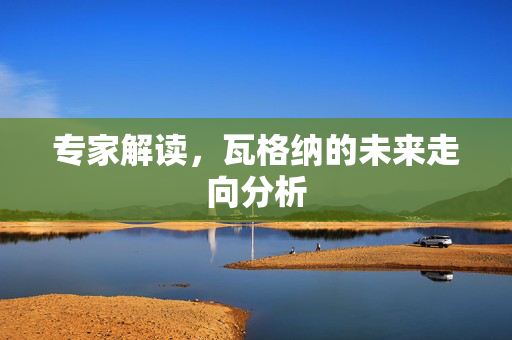 专家解读，瓦格纳的未来走向分析