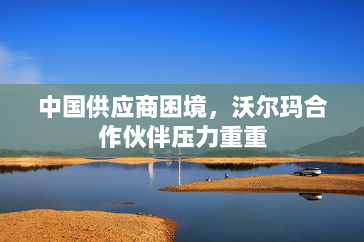 中国供应商困境，沃尔玛合作伙伴压力重重