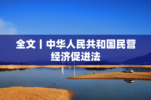 全文丨中华人民共和国民营经济促进法