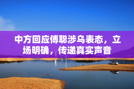 中方回应傅聪涉乌表态，立场明确，传递真实声音