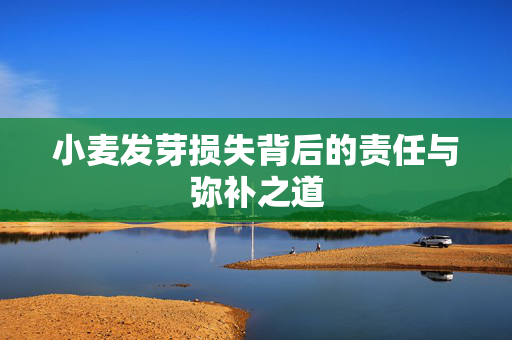 小麦发芽损失背后的责任与弥补之道