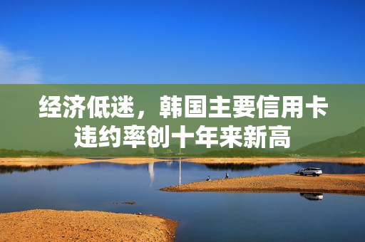 经济低迷，韩国主要信用卡违约率创十年来新高