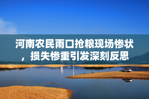 河南农民雨口抢粮现场惨状，损失惨重引发深刻反思
