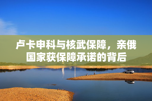 卢卡申科与核武保障，亲俄国家获保障承诺的背后