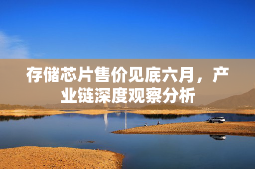 存储芯片售价见底六月，产业链深度观察分析