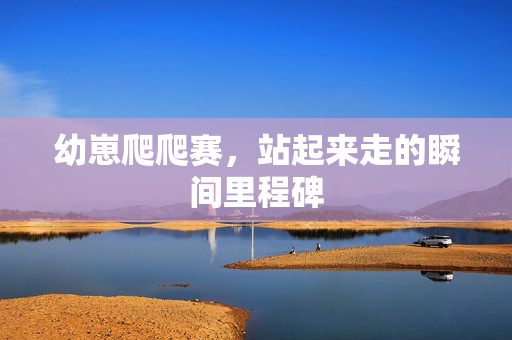幼崽爬爬赛，站起来走的瞬间里程碑