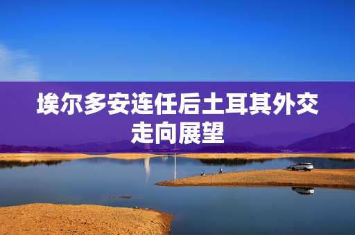埃尔多安连任后土耳其外交走向展望