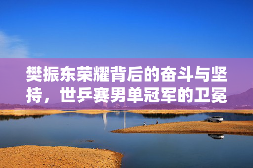 樊振东荣耀背后的奋斗与坚持，世乒赛男单冠军的卫冕之路