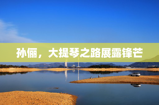 孙俪，大提琴之路展露锋芒
