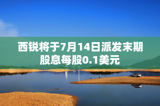 西锐将于7月14日派发末期股息每股0.1美元