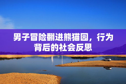 男子冒险翻进熊猫园，行为背后的社会反思