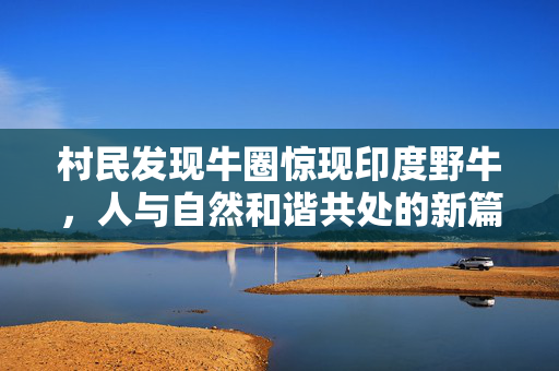 村民发现牛圈惊现印度野牛，人与自然和谐共处的新篇章