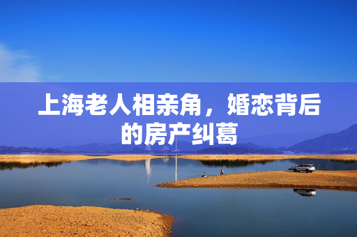 上海老人相亲角，婚恋背后的房产纠葛