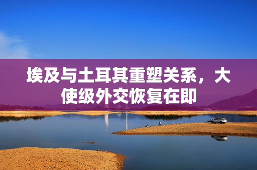 埃及与土耳其重塑关系，大使级外交恢复在即