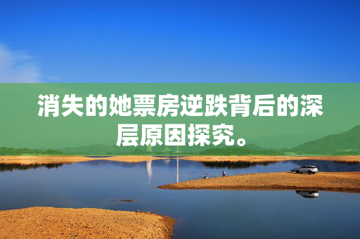 消失的她票房逆跌背后的深层原因探究。