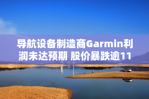 导航设备制造商Garmin利润未达预期 股价暴跌逾11.5%