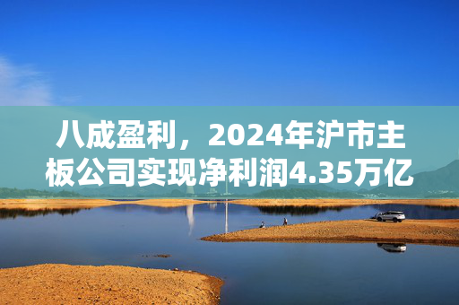 八成盈利，2024年沪市主板公司实现净利润4.35万亿元