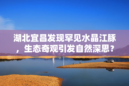 湖北宜昌发现罕见水晶江豚，生态奇观引发自然深思？
