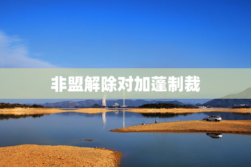 非盟解除对加蓬制裁