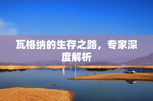 瓦格纳的生存之路，专家深度解析