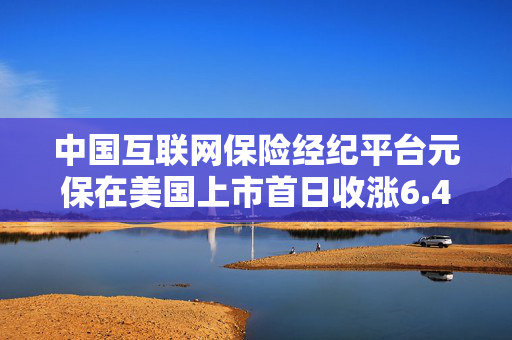 中国互联网保险经纪平台元保在美国上市首日收涨6.4%