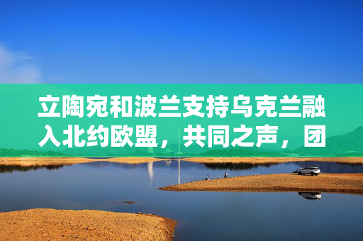 立陶宛和波兰支持乌克兰融入北约欧盟，共同之声，团结之力