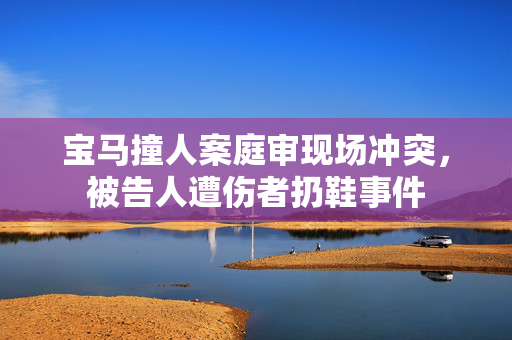 宝马撞人案庭审现场冲突，被告人遭伤者扔鞋事件