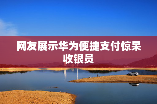 网友展示华为便捷支付惊呆收银员