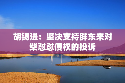 胡锡进：坚决支持胖东来对柴怼怼侵权的投诉