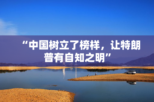 “中国树立了榜样，让特朗普有自知之明”