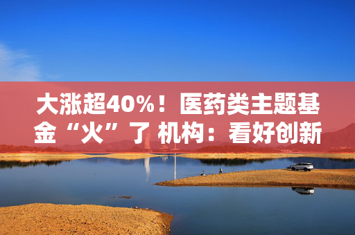 大涨超40%！医药类主题基金“火”了 机构：看好创新药投资机会