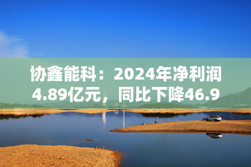 协鑫能科：2024年净利润4.89亿元，同比下降46.92%