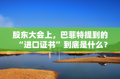 股东大会上，巴菲特提到的“进口证书”到底是什么？