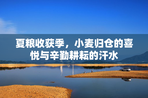 夏粮收获季，小麦归仓的喜悦与辛勤耕耘的汗水