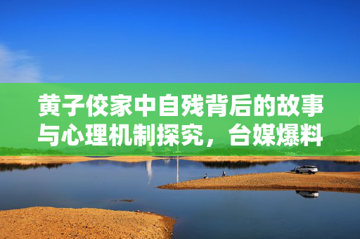 黄子佼家中自残背后的故事与心理机制探究，台媒爆料引发关注