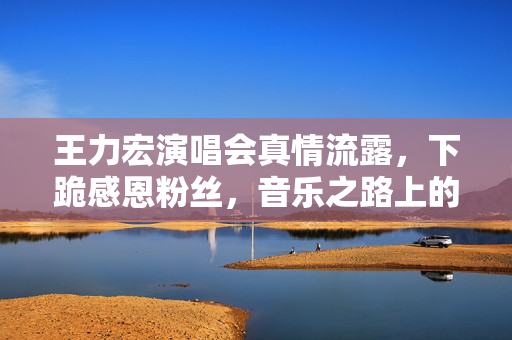 王力宏演唱会真情流露，下跪感恩粉丝，音乐之路上的深情告白