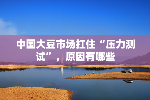 中国大豆市场扛住“压力测试”，原因有哪些