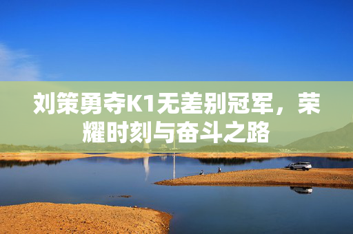 刘策勇夺K1无差别冠军，荣耀时刻与奋斗之路