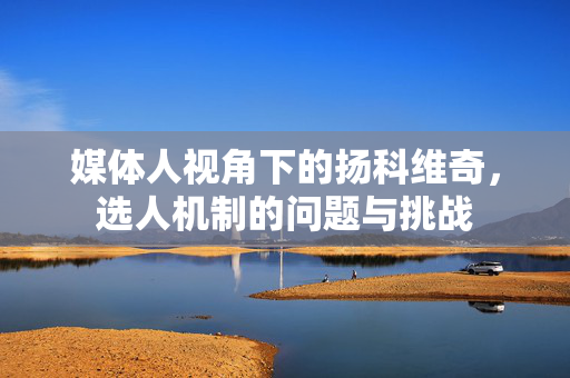 媒体人视角下的扬科维奇，选人机制的问题与挑战
