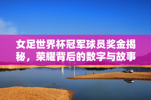 女足世界杯冠军球员奖金揭秘，荣耀背后的数字与故事，奖金达27万美元