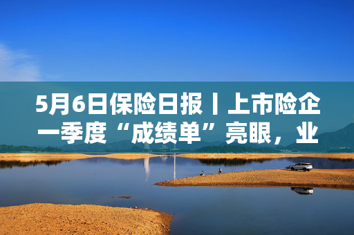 5月6日保险日报丨上市险企一季度“成绩单”亮眼，业务结构优化，银保渠道扛起上市险企一季度保费增长大旗