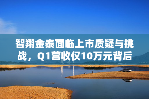 智翔金泰面临上市质疑与挑战，Q1营收仅10万元背后真相揭秘