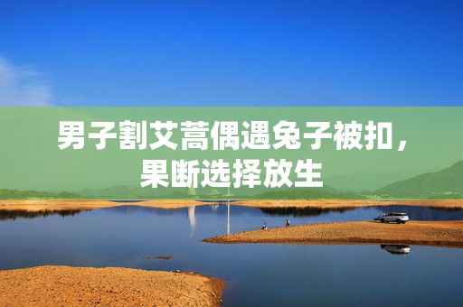 男子割艾蒿偶遇兔子被扣，果断选择放生