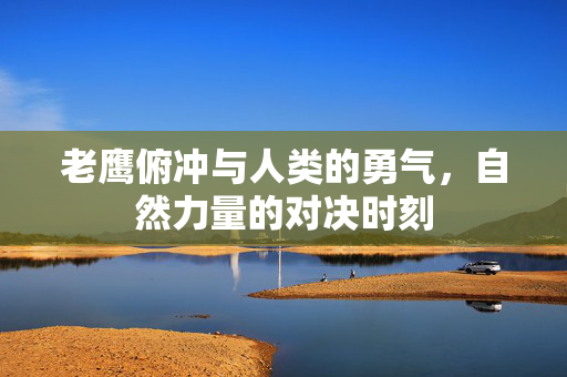 老鹰俯冲与人类的勇气，自然力量的对决时刻