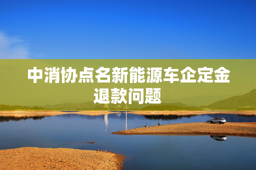 中消协点名新能源车企定金退款问题