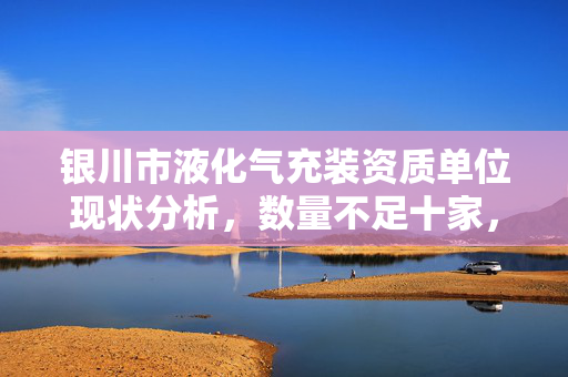 银川市液化气充装资质单位现状分析，数量不足十家，如何应对挑战与困境？