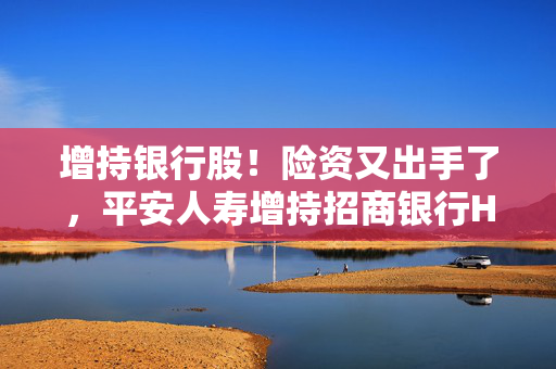 增持银行股！险资又出手了，平安人寿增持招商银行H股