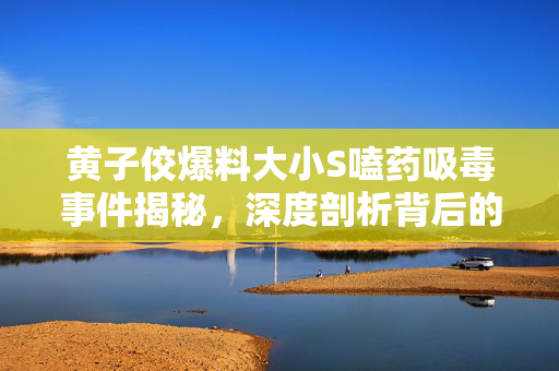 黄子佼爆料大小S嗑药吸毒事件揭秘，深度剖析背后的真相