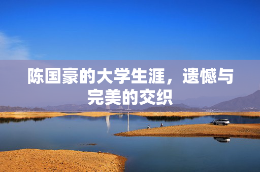 陈国豪的大学生涯，遗憾与完美的交织